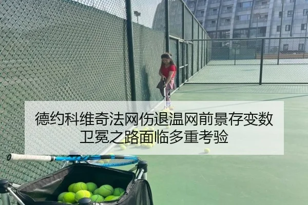 德约科维奇法网伤退温网前景存变数 卫冕之路面临多重考验